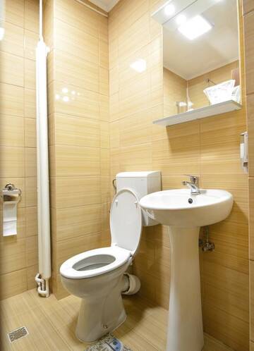 Фото номера Одноместный номер Отель Hotel Decebal Bistrita г. Бистрица 2