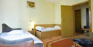 Фото номера Стандартный полулюкс Отель Hotel Decebal Bistrita г. Бистрица 3