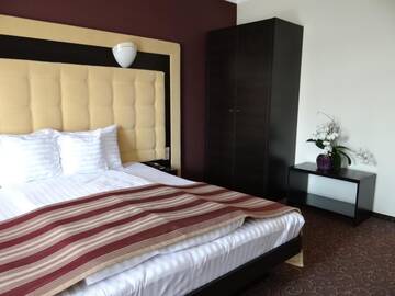 Фото номера Двухместный номер с 1 кроватью Отель Hotel Ozana г. Бистрица 20