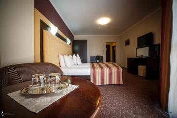 Фото номера Двухместный номер с 1 кроватью Отель Hotel Ozana г. Бистрица 16