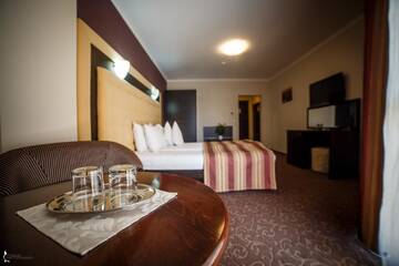 Фото номера Двухместный номер с 1 кроватью Отель Hotel Ozana г. Бистрица 7