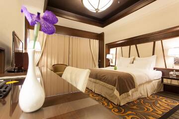 Фото номера Стандартный двухместный номер с 1 кроватью Отель Metropolis Hotel г. Бистрица 3