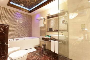 Фото номера Президентский люкс Отель Metropolis Hotel г. Бистрица 4